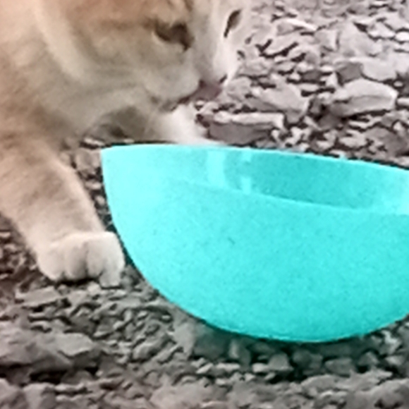 Meet your Posher, Michelle - Picture 11 of 16